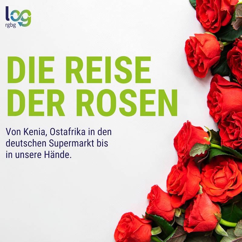 Logistikinitiative Rgbg – 10